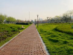 -上海山野camping·户外天幕烧烤·团建拓展营地
