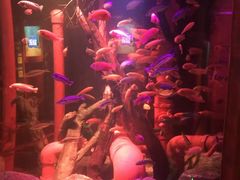 -沈阳海洋探索中心