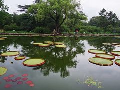 -国家植物园南园