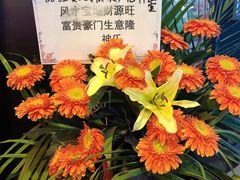 -52HZ主题桌游馆(解放西路店)