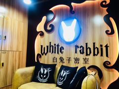 -白兔子密室(长寿路店)