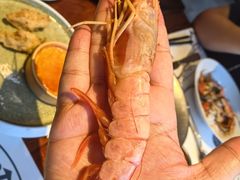 -Mr.Fish鱼鲜生海鲜放题(高德置地冬广场店)