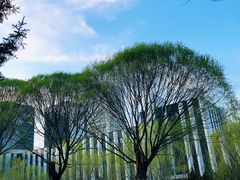 -元大都城垣遗址公园