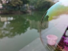 -花溪公园