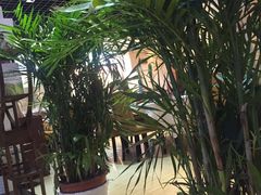 -谭谈川菜(控江路店)