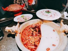 -锅说大脸毛肚重庆老火锅(佐阾店)