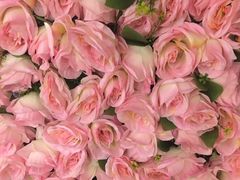 -演武大桥观景平台