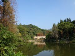 景点-云溪植物园