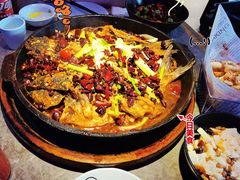 -老板恋上鱼(恒隆广场店)