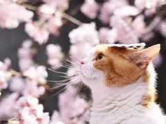 -星巴克(南京狮子桥店)