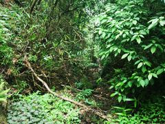 -宁波五龙潭景区