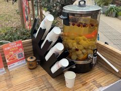 -田园印象·成都土菜院子(华阳店)