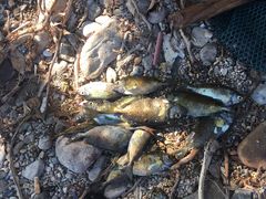 -西涌国际滨海旅游区