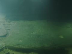 -白鹤梁水下博物馆