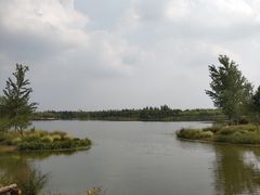 -东郊湿地公园