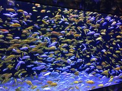 -成都浩海立方海洋公园