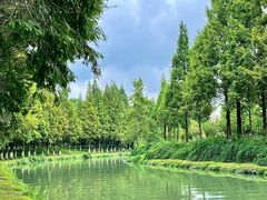 -升仙湖公园