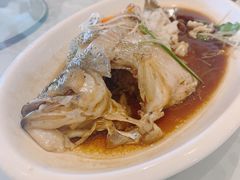 -金蝉食府(维吉奥广场店)