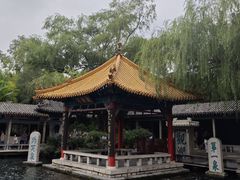 -趵突泉景区