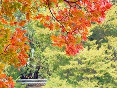 -香山公园