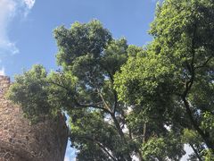 -J Create城市露营咖啡·简餐·宠物(上海动物园店)