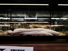 -帕帕拉兹宠物(亚洲旗舰店)