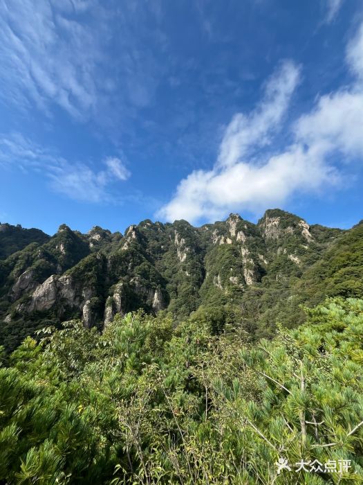 王顺山国家森林公园图片