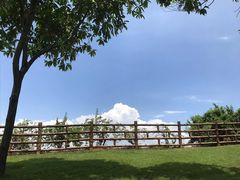 -广州莲花山旅游区