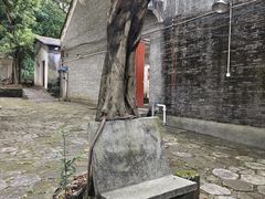 -芦苞胥江祖庙