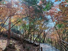 -南京市无想山景区