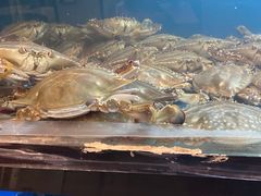 -温州炎亭海鲜阁(万塘路店)