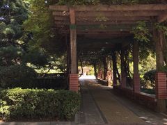 -山东大学(千佛山校区)