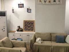 -iF摄影•全家福•证件照•形象照(南山店)