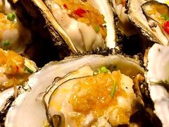-土蚝·高压锅生蚝(百姓美食街店)