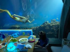 -海棠湾洲际-涛·海底餐厅·美人鱼·自助餐·海底隧道