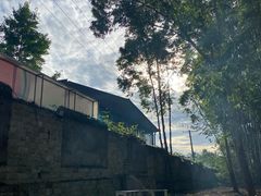 -桉树林A coffee 森林餐厅(三圣乡店)