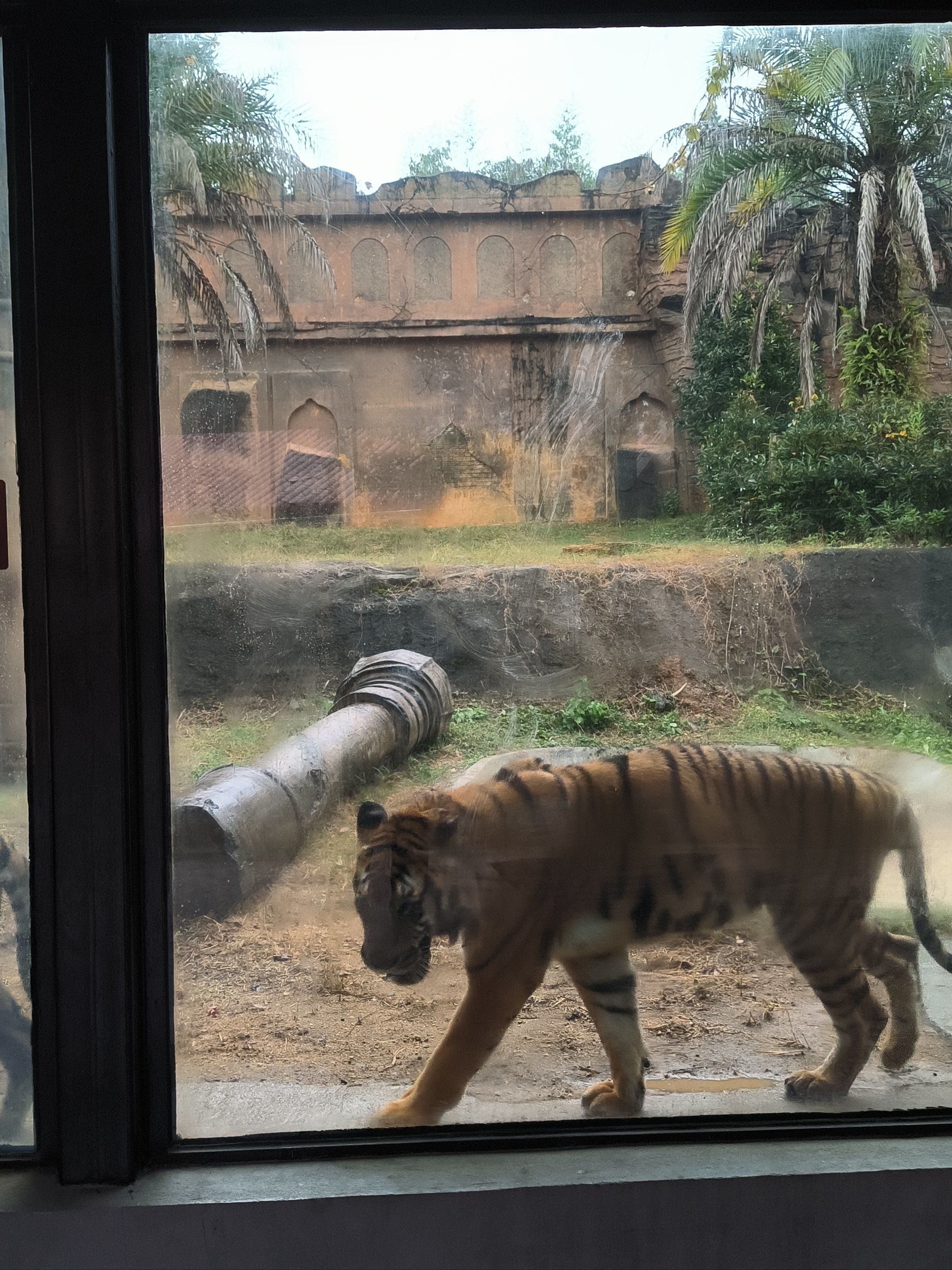 杭州野生动物世界