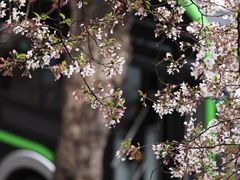 -南浦大桥长途旅游客运站