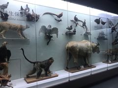 -国家自然博物馆