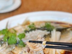 钱湖四宝-朋鱼-宁波柏悦酒店·钱湖渔港