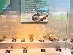 -甘肃地质博物馆