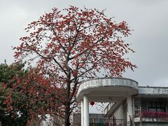 -黄埔古港