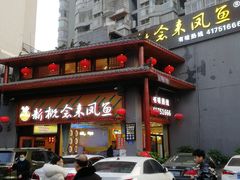 -新概念来凤鱼(璧山店)