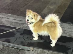 -耿福兴(罍街店)