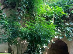 -南山植物园