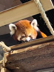 -Zoolung Zoolung动物主题公园(海信广场店)