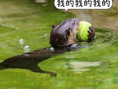 -上海野生动物园
