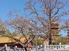 -梵天禅寺