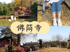 -佛荫寺