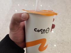 珍珠可可牛奶-CoCo都可(恒隆456店)